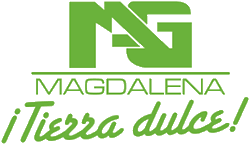Ingenio Magdalena